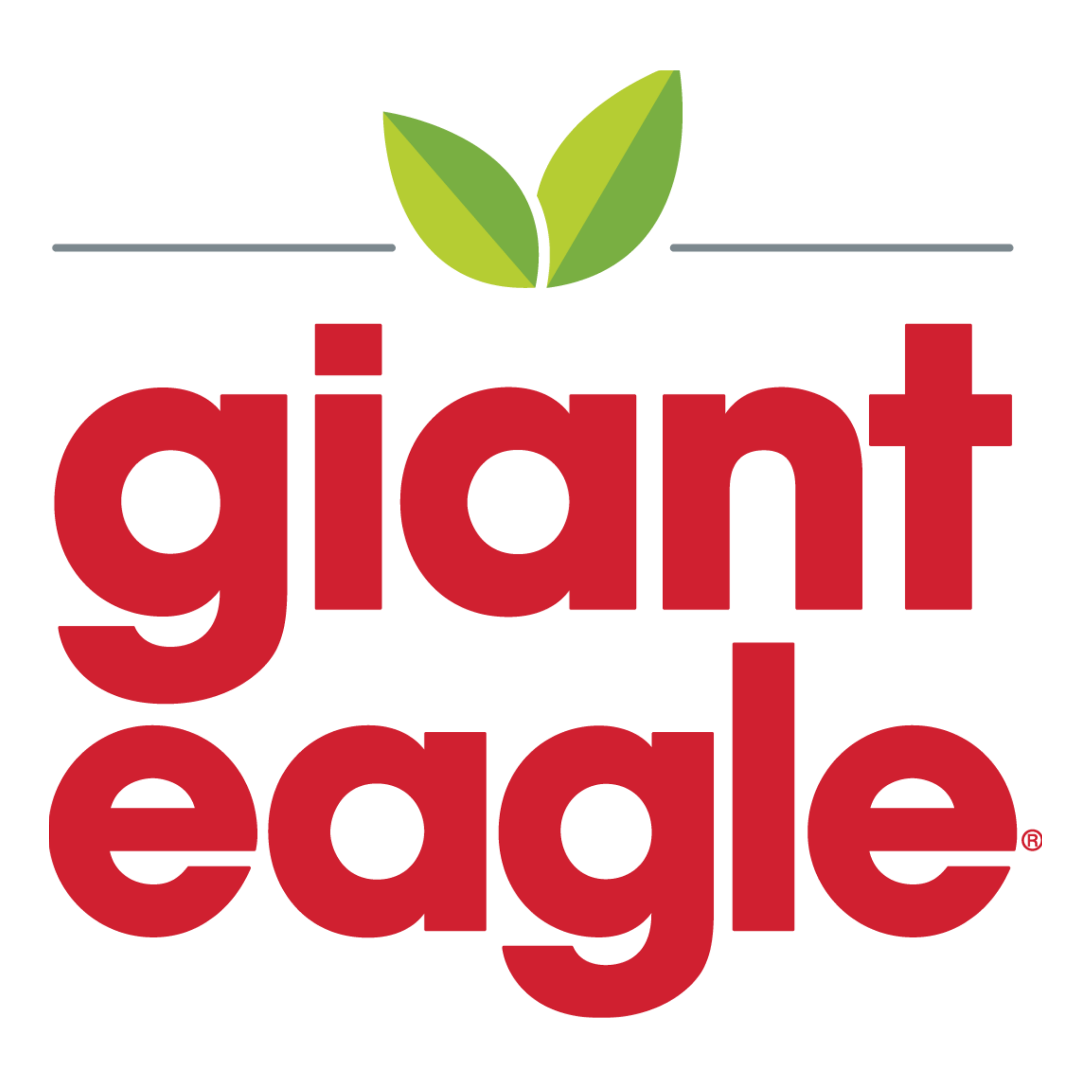 Giant eagle logo